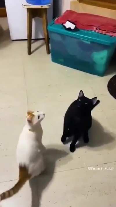 How to cover a slap