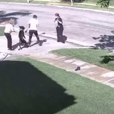 WCGW owning an animal I can't control