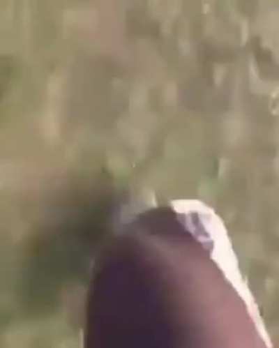 aaa se nem morreu