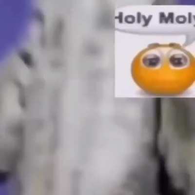 I&acirc;m not gonna flood the server again mods I swear