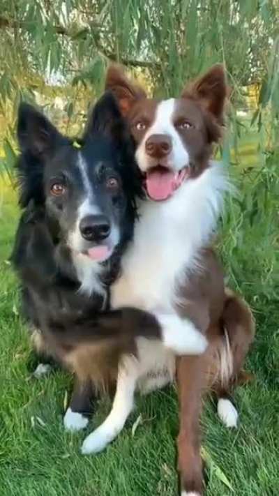 He is Obedient and Innocent!!