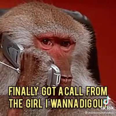 Monke