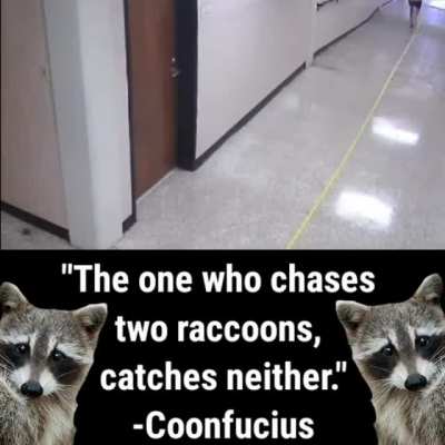 How They Continue To Elude Us