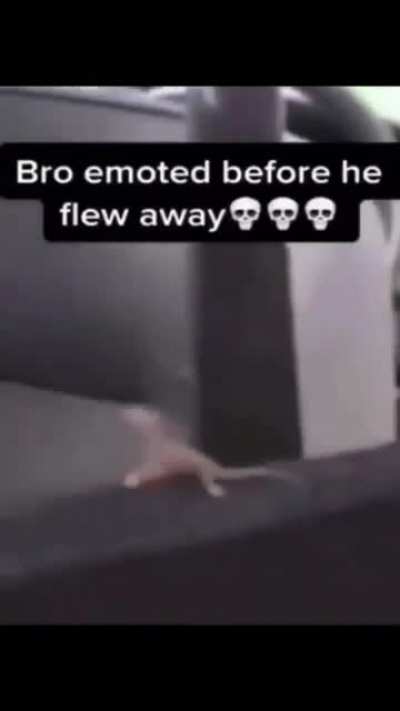 emote