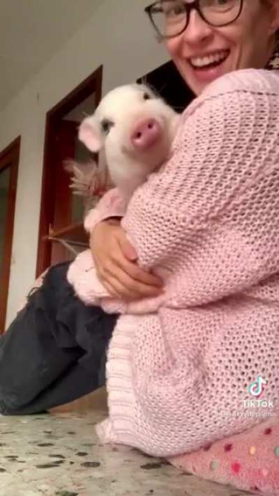 Piggy loves
