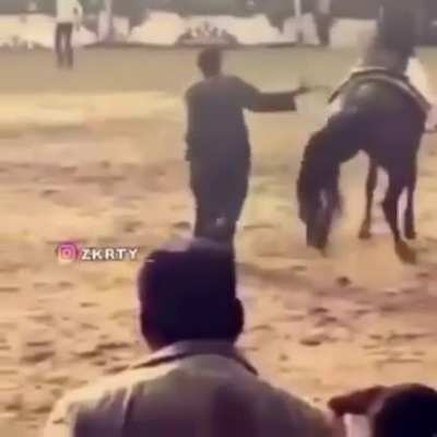 GWTB getting kicked by dancing horse