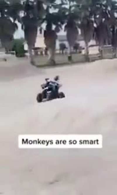 Rule