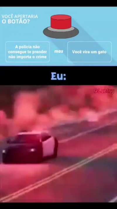 miau