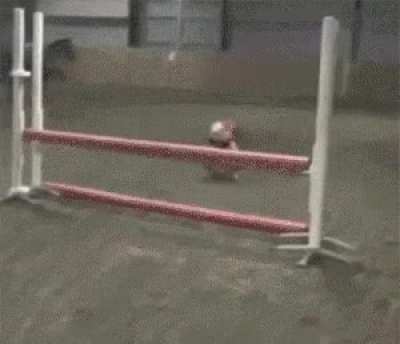 Jump like a horse