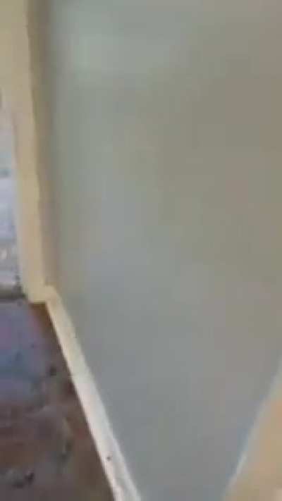 I can understand why this guy won't allow dogs in his rentals anymore.