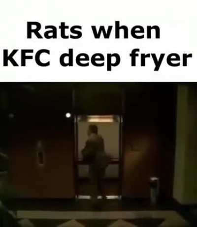 rats