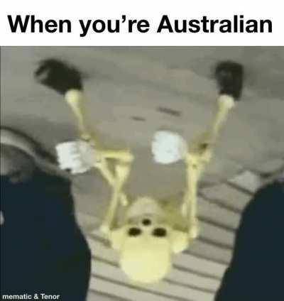 Didgeridoot