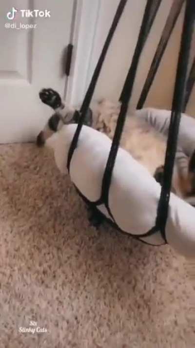 Playing just like kids