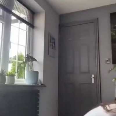 Got deleted but i still need to know who this is, video doesnt have a watermark but it is from tik tok