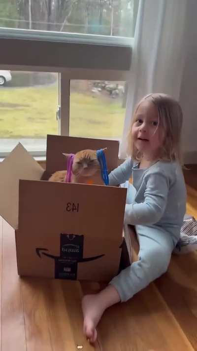 Cats Vs kids is always a complicated relationship 😂