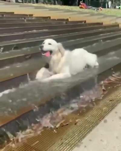 Cooling off at the park