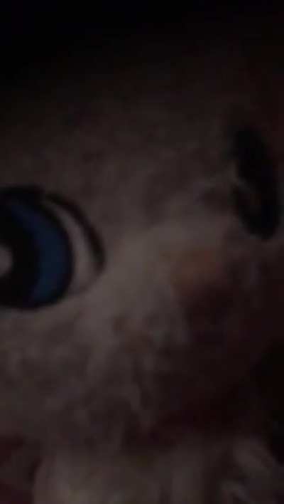 Screm