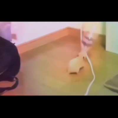 No se que ise con el otro video igual a este pero aqu&iacute; esta de nuevo