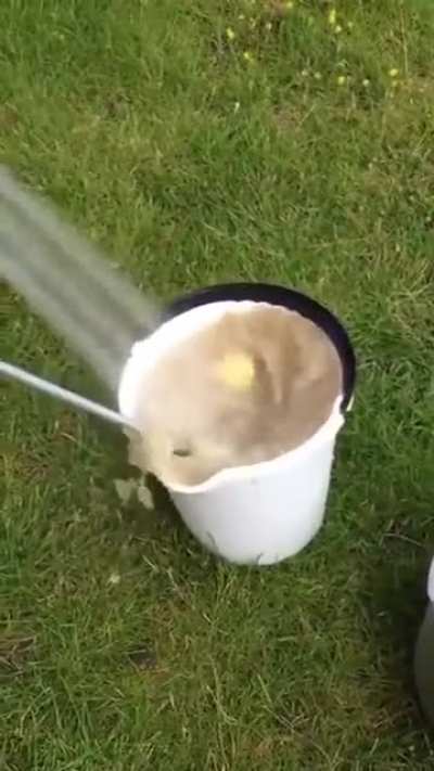Never seen this one before