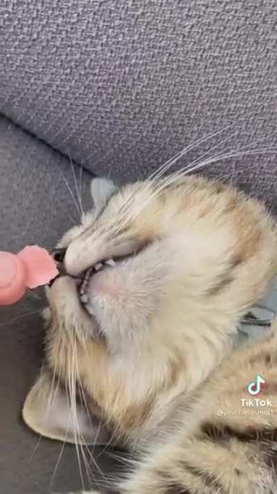Enjoy
