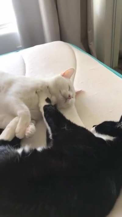 Nothing like a good ol&rsquo; throat massage