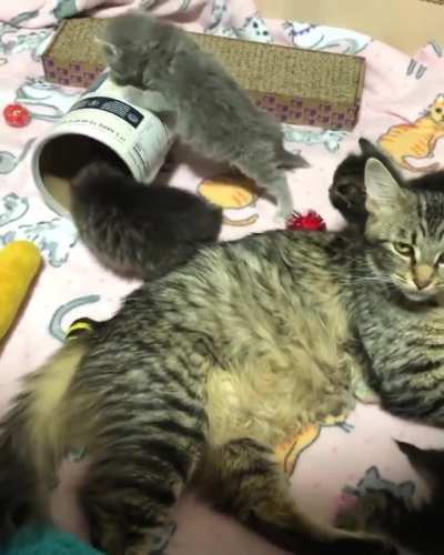 Stay At Home Mom