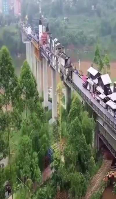 Houses built on a bridge