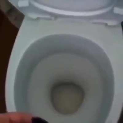 Piss