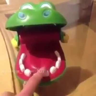 Crocodile dentist gone wrong