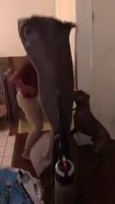 F