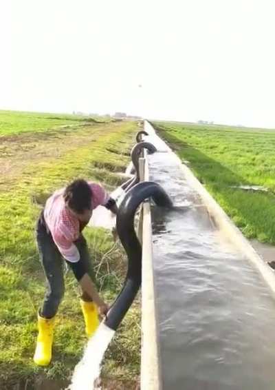 Siphon for irrigation