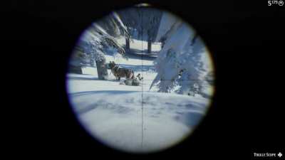 Awww look at the cute wolves playing in the sn- OH GOD HERE THEY COME