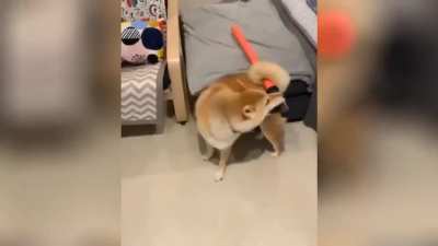 Dog Souls