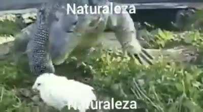 ta fresca la naturaleza 😎👌👌