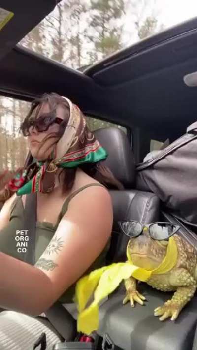 Só pra relaxar