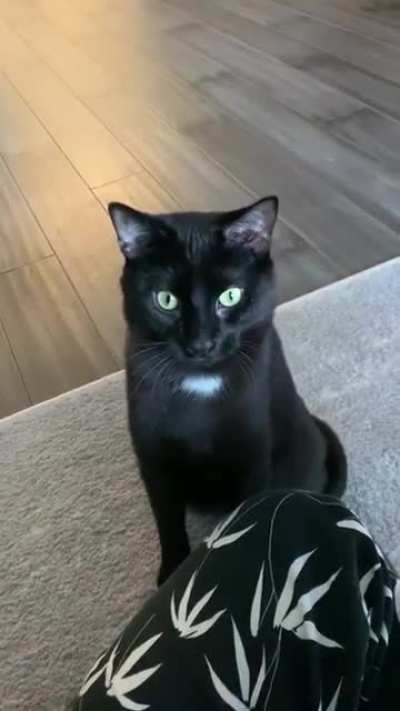 "Can I touch your head?"