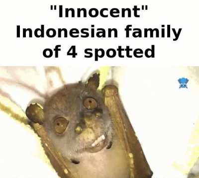 Papuan God is so real for this