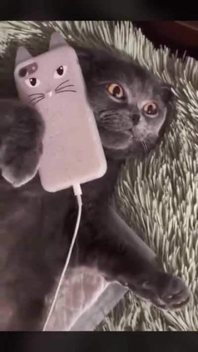 Phone