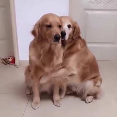 True Love