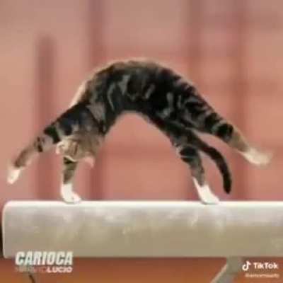 Miau