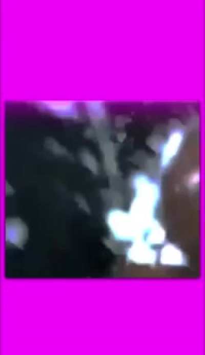 lung