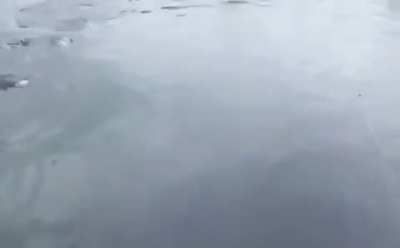 A whale surfacing right beside a marina