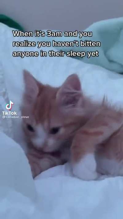 3 am