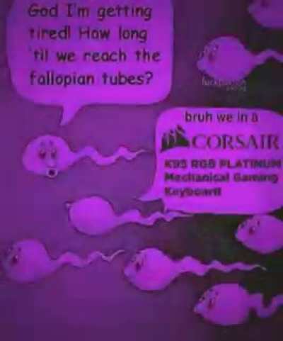 RGB keyboard &amp;gt; fleshlight