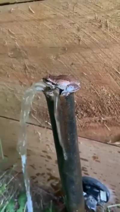 cool dude