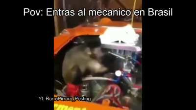 Pov: Entras al mec&aacute;nico en Brasil