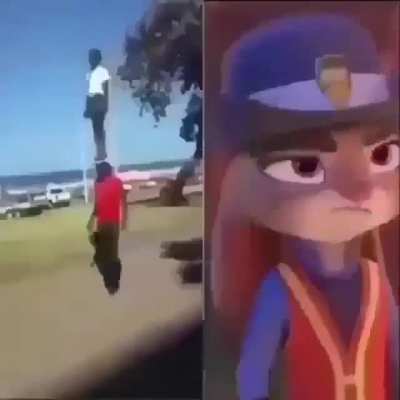 xd