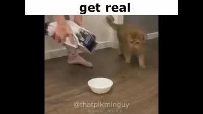 caturday rule