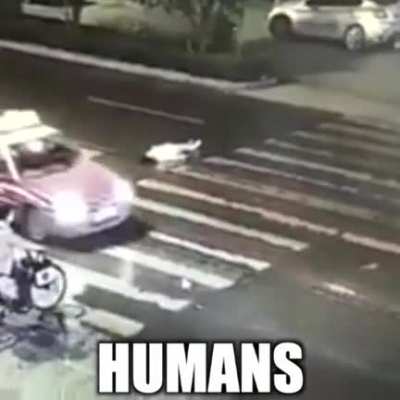 Animals vs. Humans