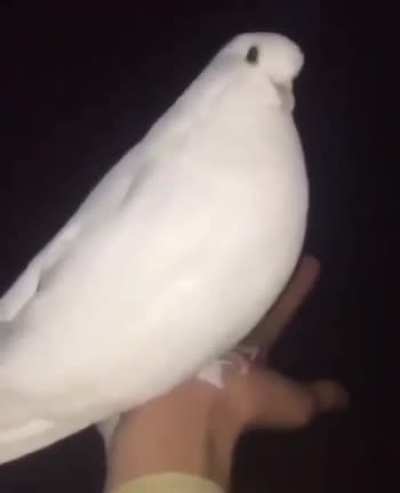 ***